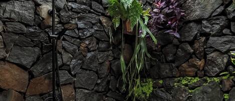 A stone wall with a showerhead and hanging plants.