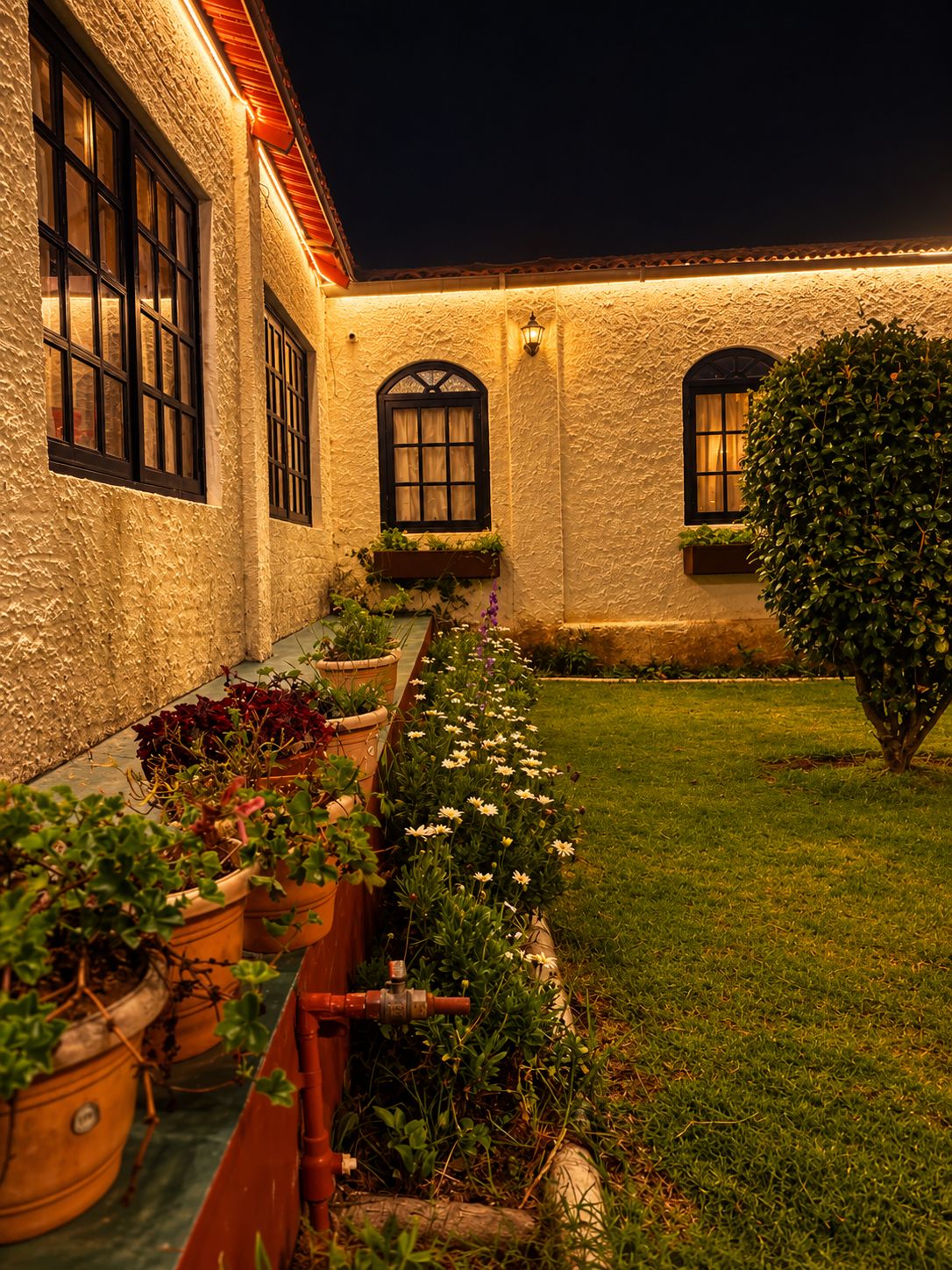 A courtyard with a building, potted plants, and a lawn.