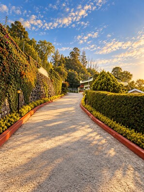 A gravel pathway flanked by neatly trimmed hedges and a stone wall, leading to a residential area with houses and trees. - La Address Retreat (Ootacamund)