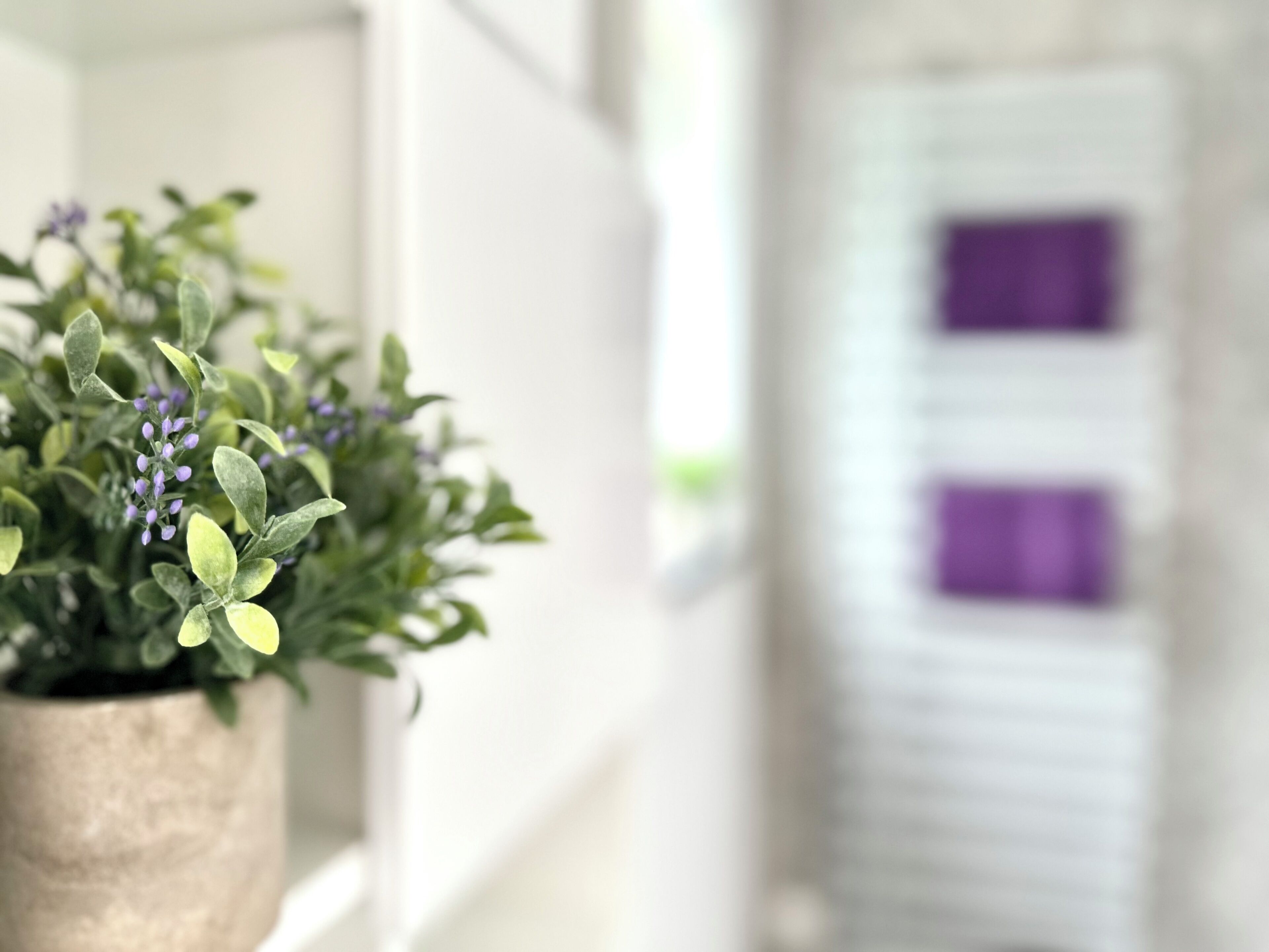 Une plante en pot, avec des feuilles vertes et des fleurs violettes, posée sur une étagère blanche.