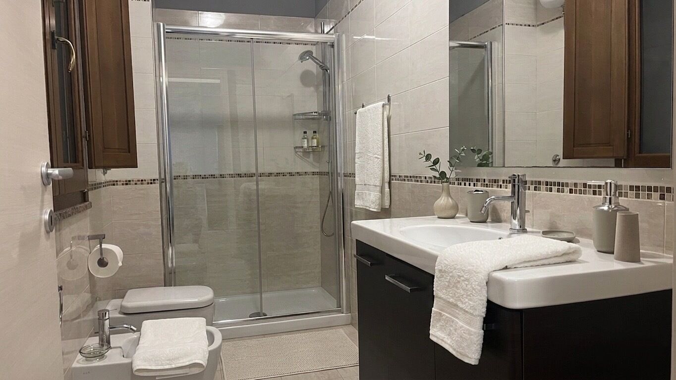Regadera, secadora de cabello, bidet, toallas 