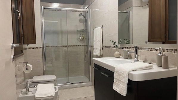 Shower, hair dryer, bidet, towels