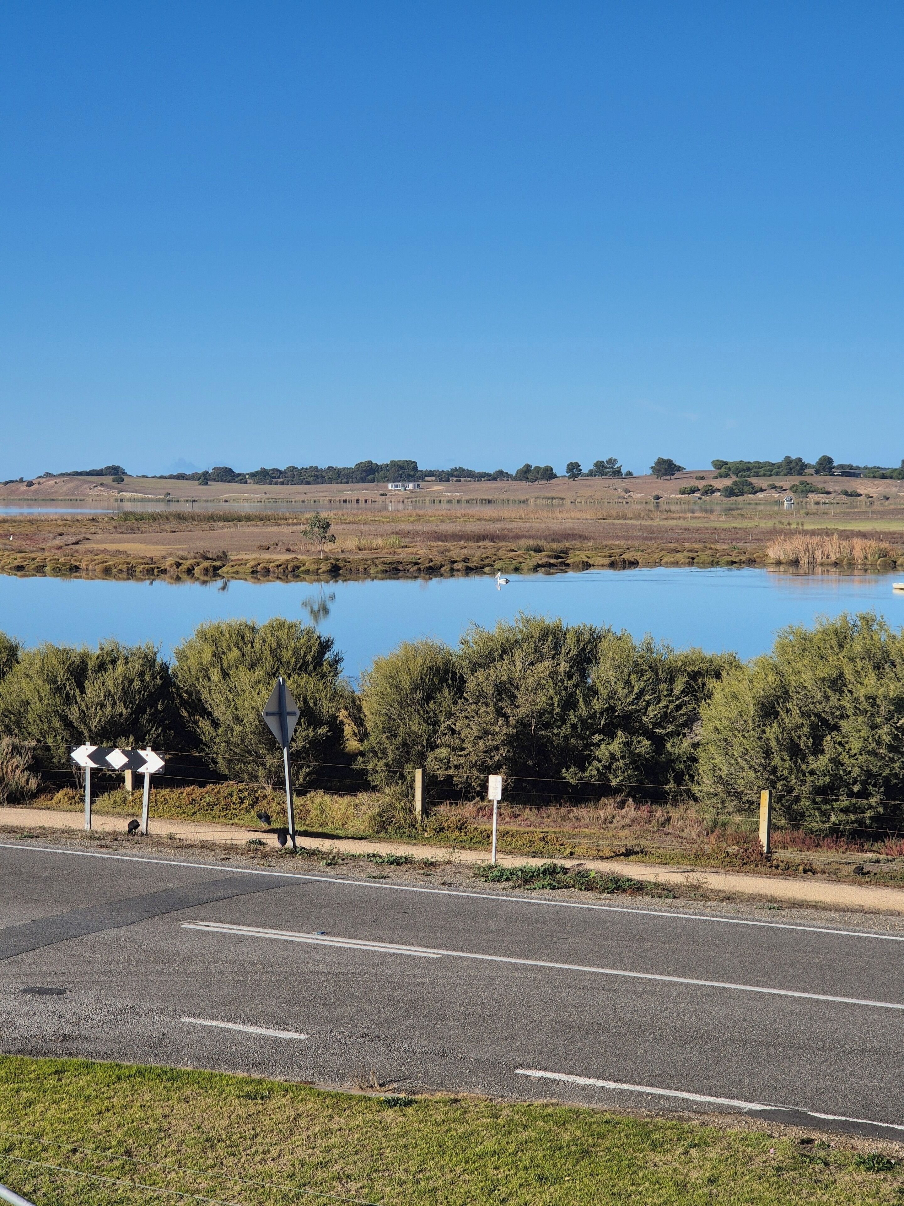 Uma estrada com vista desobstruída para um lago e vegetação ao redor.