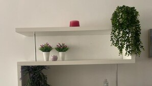 A modern, minimalist room with a white wall and a built-in shelving unit. The shelves hold various potted plants and a small red vase. - Enjoying the beach (Playa de Gandia)