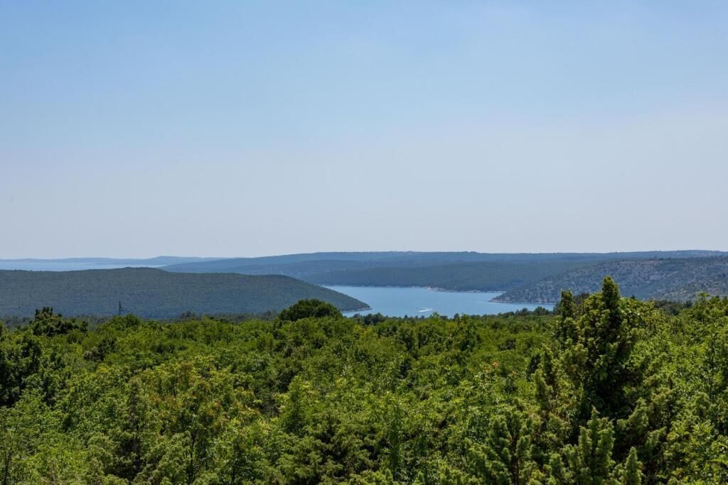 A forested landscape with a lake and distant hills.