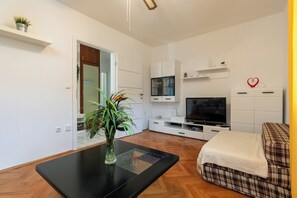 TV - Apartment Castegner (Pula)