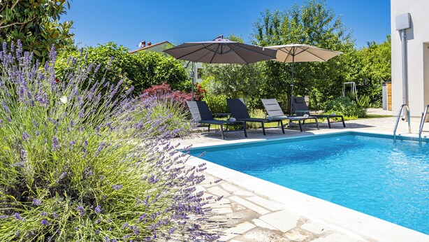 Una piscina con sillones de descanso y sombrillas, rodeada de exuberante follaje y un cielo azul despejado.