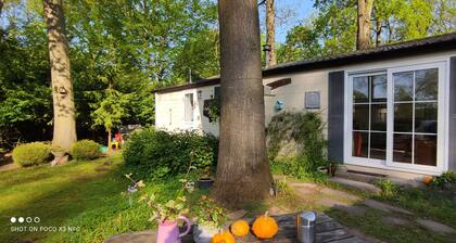 Boshuisje Wageningen