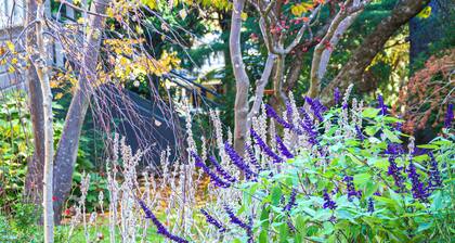 Stylish cabin for two in Leura, Blue Mountains NSW