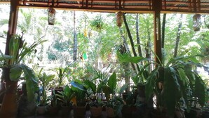 Un espace extérieur abrité, doté d’une structure en bois et agrémenté de plantes en pot.