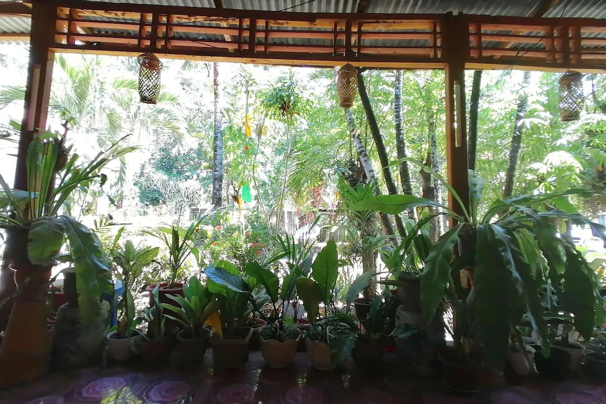 A covered outdoor area with a wooden structure and potted plants.