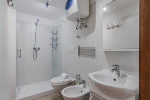 Shower, hair dryer, bidet, towels