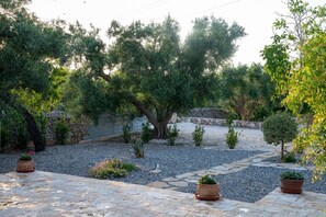 Terrain de l’hébergement 