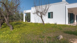 Een wit gebouw met een groene deur, omringd door een gazon met gele bloemen en bomen.