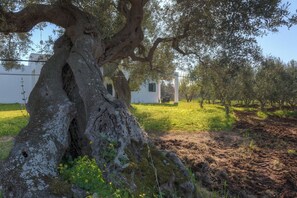 Property grounds - Casa Zampignola 3 by Rentbeat (Ostuni)