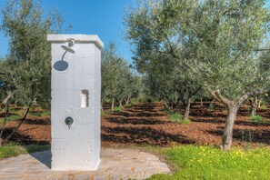 Una costruzione bianca con una porta e un oggetto circolare, circondata da ulivi e un sentiero in pietra.