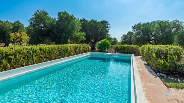 Ein rechteckiger Swimmingpool mit klarem, blauem Wasser, umgeben von ordentlich geschnittenen Hecken und Bäumen.