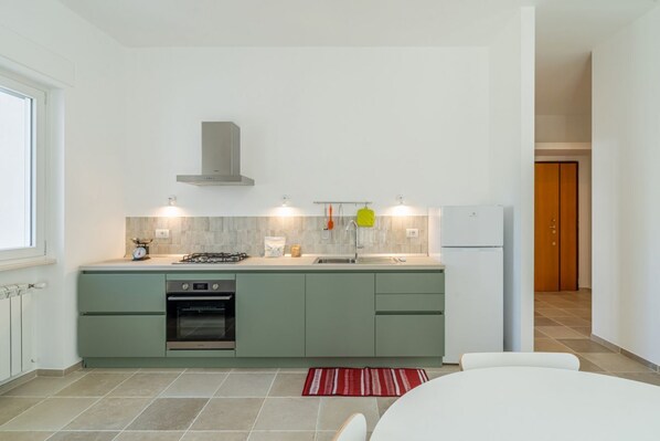 Fridge, oven, stovetop, dishwasher