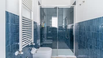 Shower, hair dryer, bidet, towels