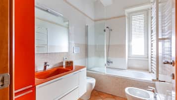 Shower, hair dryer, bidet, towels