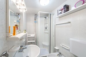 Shower, hair dryer, bidet, towels