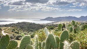 A landscape with cacti, a body of water, and distant mountains. - Comino Alto - Appartamento 5 by Rentbeat (Siniscola)