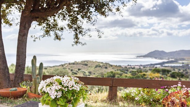 A table with a white crate containing flowers, a wooden bench, and a view of a landscape with hills and a body of water. - Comino Alto - Appartamento 5 by Rentbeat (Siniscola)