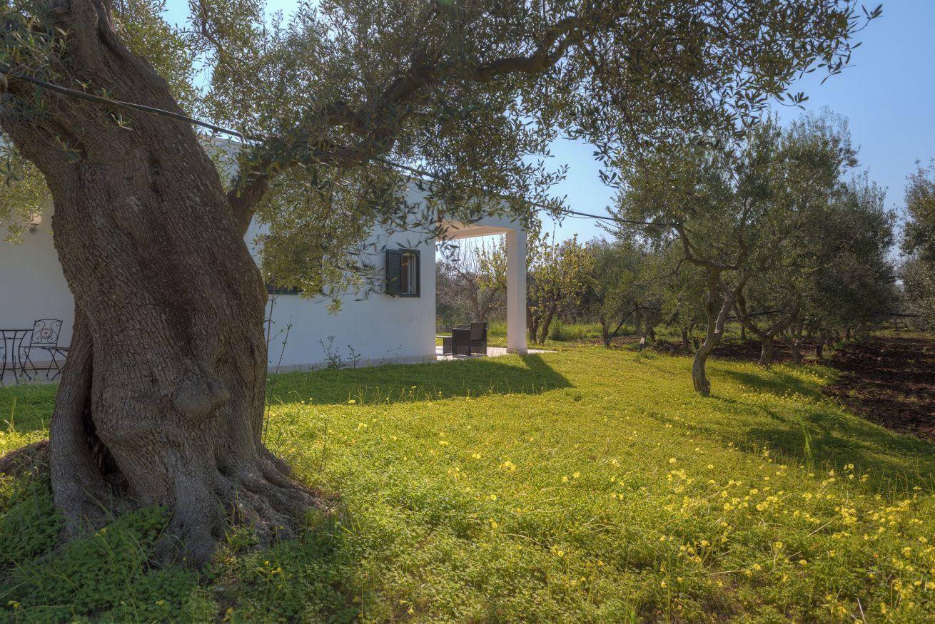 A white building with a large tree in front, a grassy area, and a clear sky.
