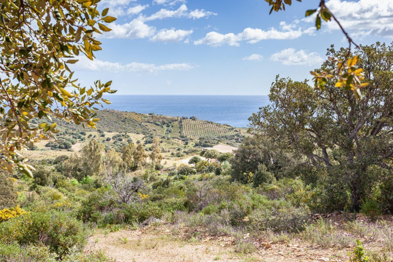 Un paysage côtier offrant une vue sur la mer, caractérisé par un terrain aride et une végétation clairsemée.
