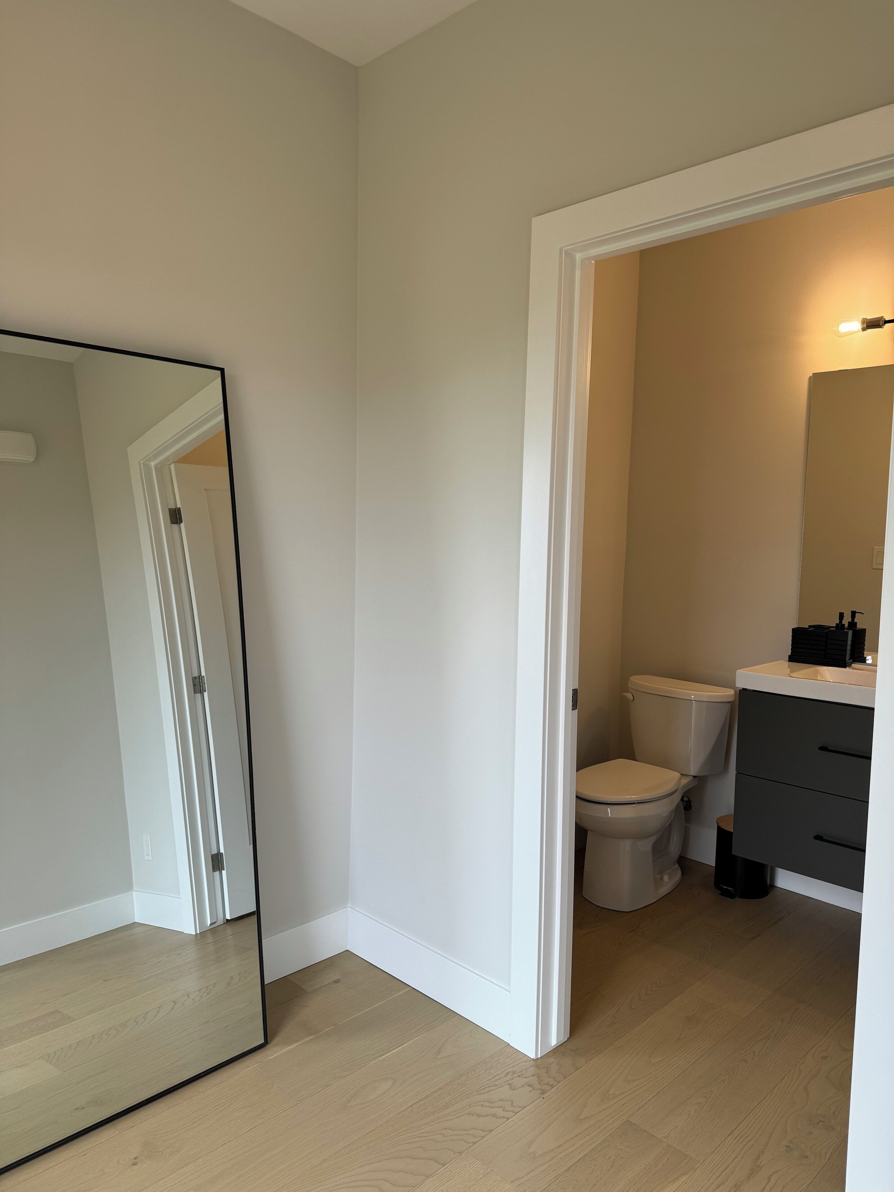 Un baño con inodoro, lavamanos y espejo.