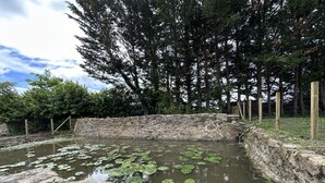 A pond with lily pads surrounded by stone walls and trees.