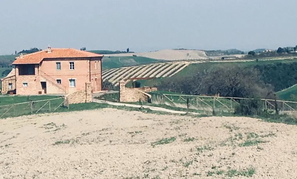 A rustic stone building with a red-tiled roof, surrounded by terraced vineyards and a dirt path leading to it.