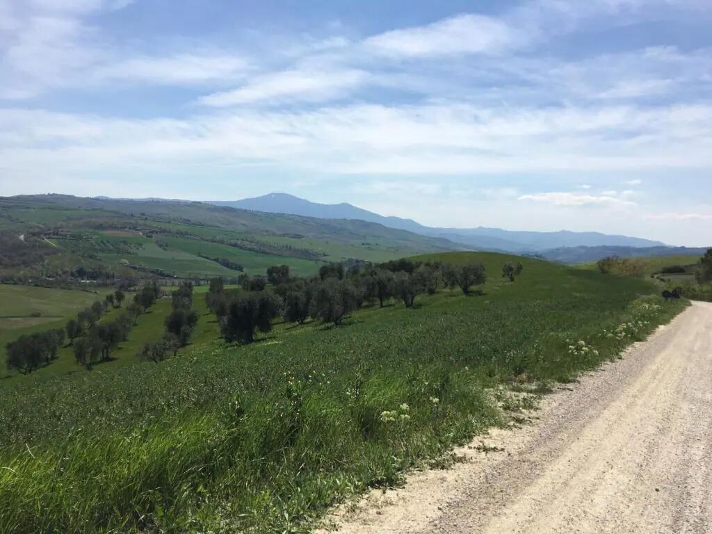 A dirt road winding through a green landscape with rolling hills and distant mountains.