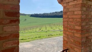 A view through a brick archway of a green field with trees and a fence. - Cordella in Valdorcia Truffle & Olive Oil Resort - Podere Borgasso (Montalcino)