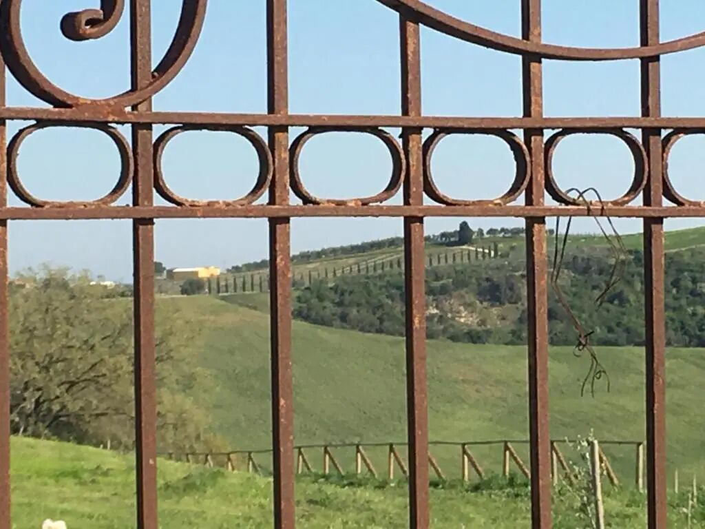 A metal gate with a view of a green landscape and distant buildings.