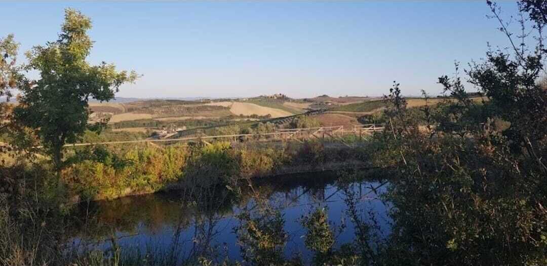 Ländliche Landschaft mit einer Brücke über einem Fluss, umgeben von Feldern und Bäumen.