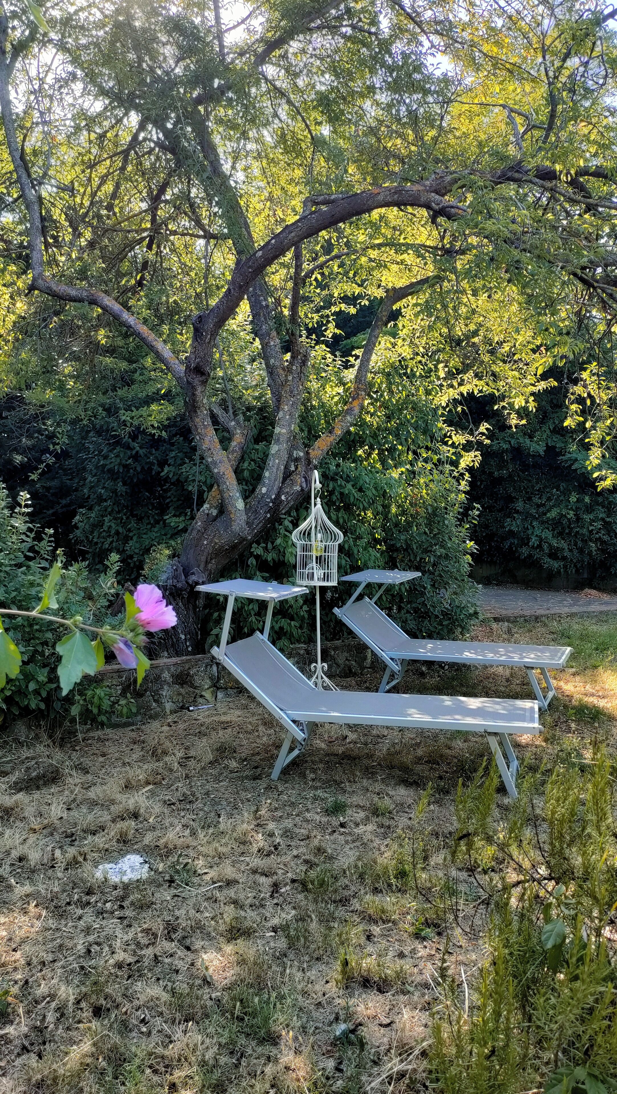 Parco della struttura