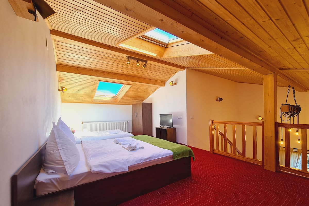 A bedroom with a bed, a television, and a skylight.