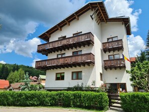 Exterior - CASA FLORESCU (Busteni)