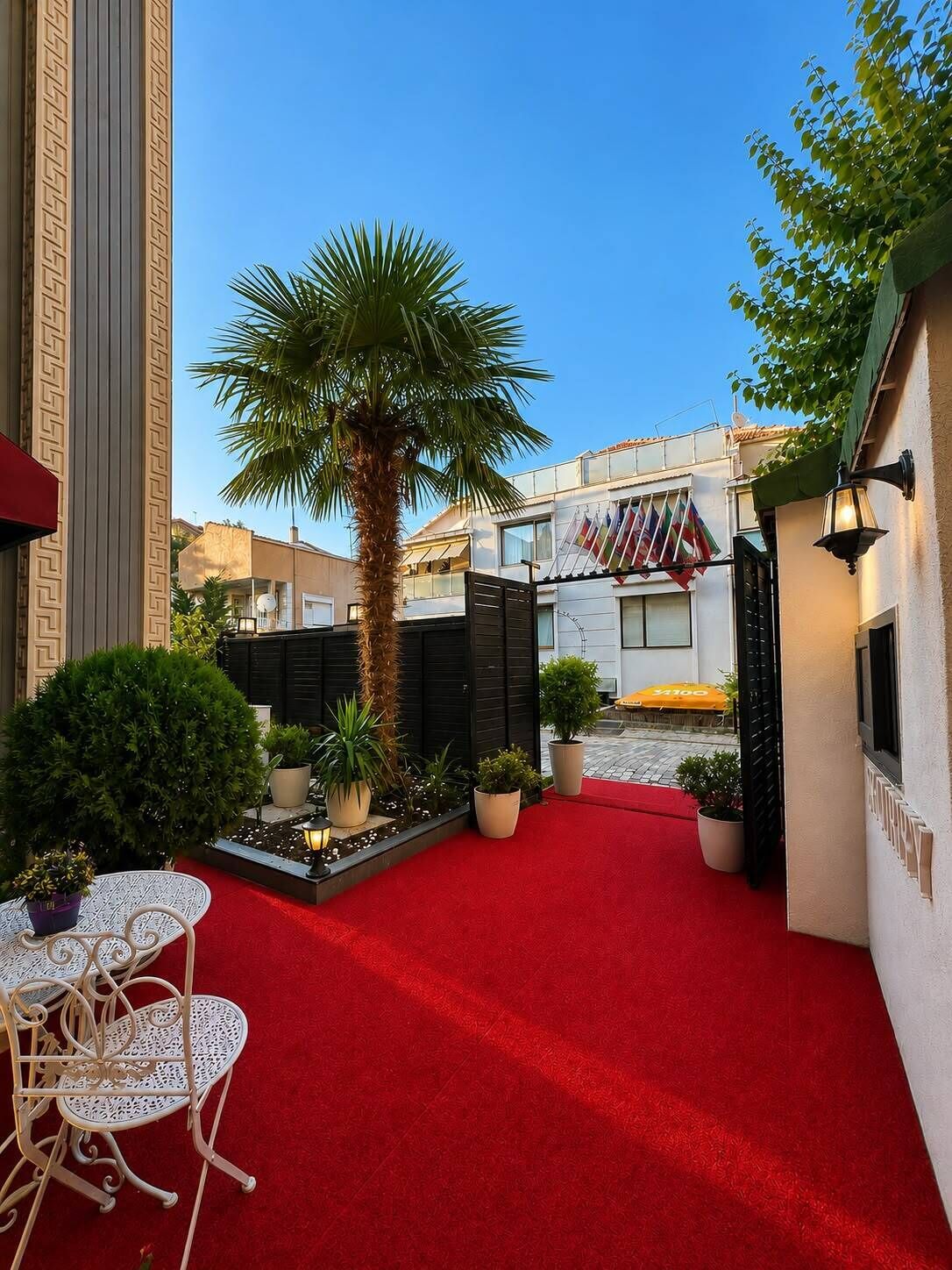 Un patio con alfombra roja, plantas en macetas, una palmera y mobiliario exterior.