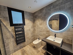 Shower, hair dryer, bidet, towels
