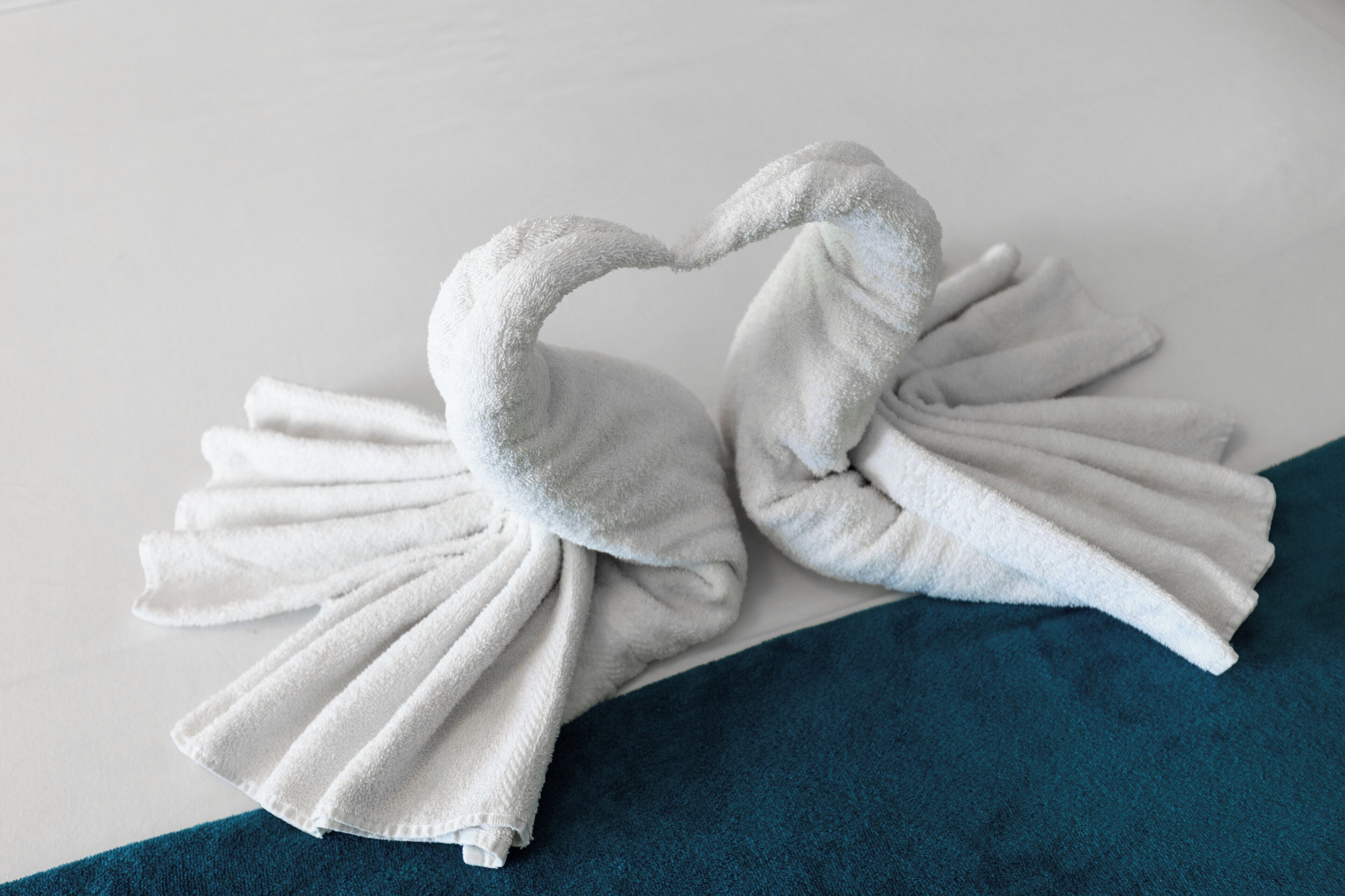 Two white towels arranged in a heart shape on a white surface with a teal-colored area below.