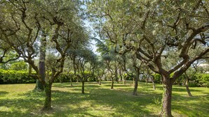 A park with mature trees and a grassy area. - Villa Delle Coste With Pool (Lazise)