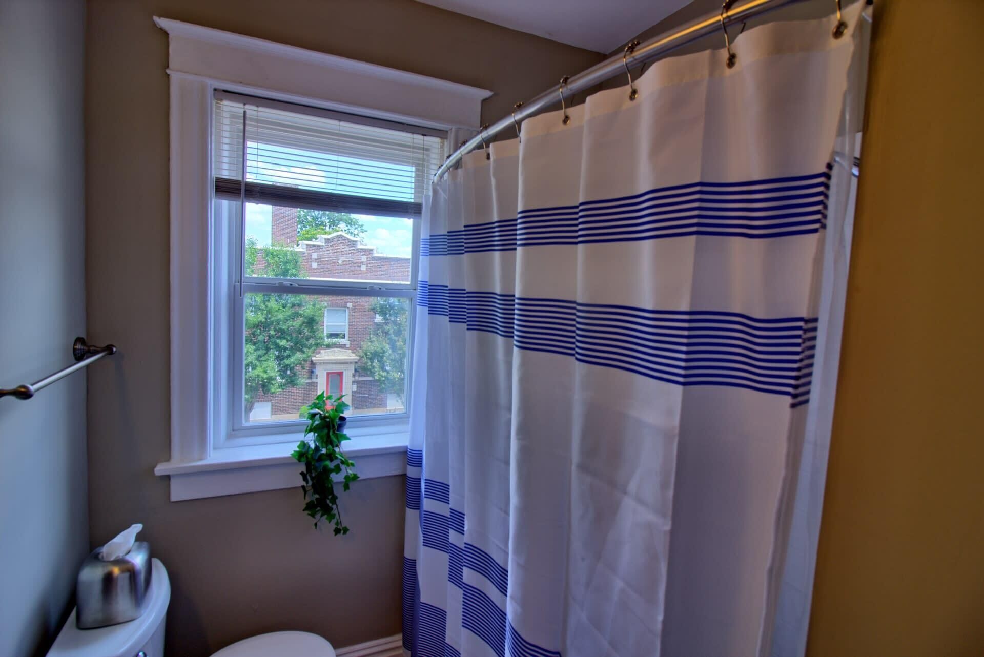 A bathroom with a window, a toilet, a plant, and a shower curtain with a blue pattern.