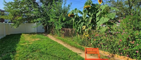 A garden with a wooden bench, a large sunflower plant, and a fence.