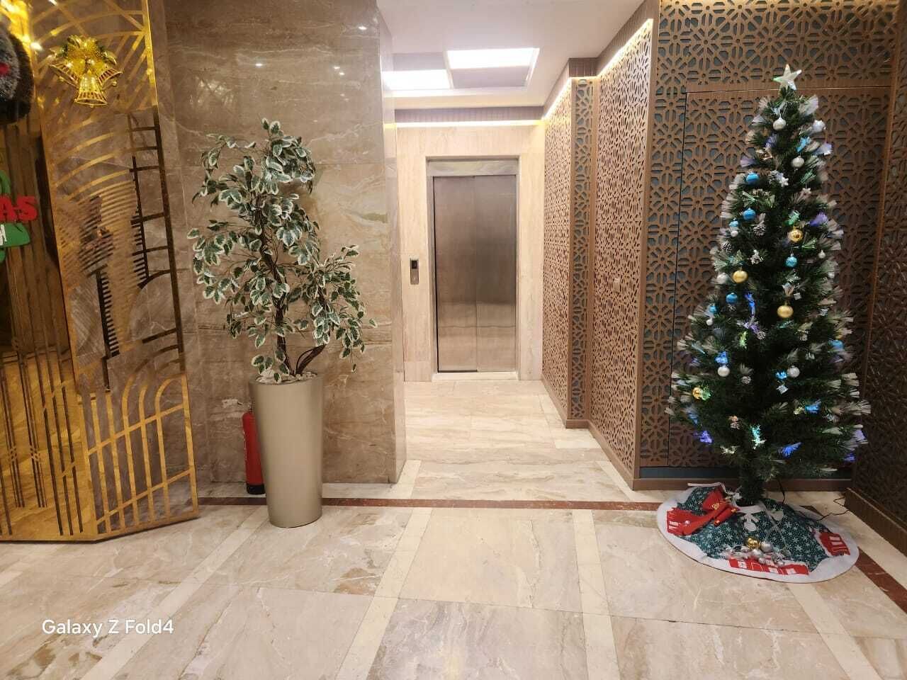 A hotel lobby with a Christmas tree, a potted plant, and a modern elevator.