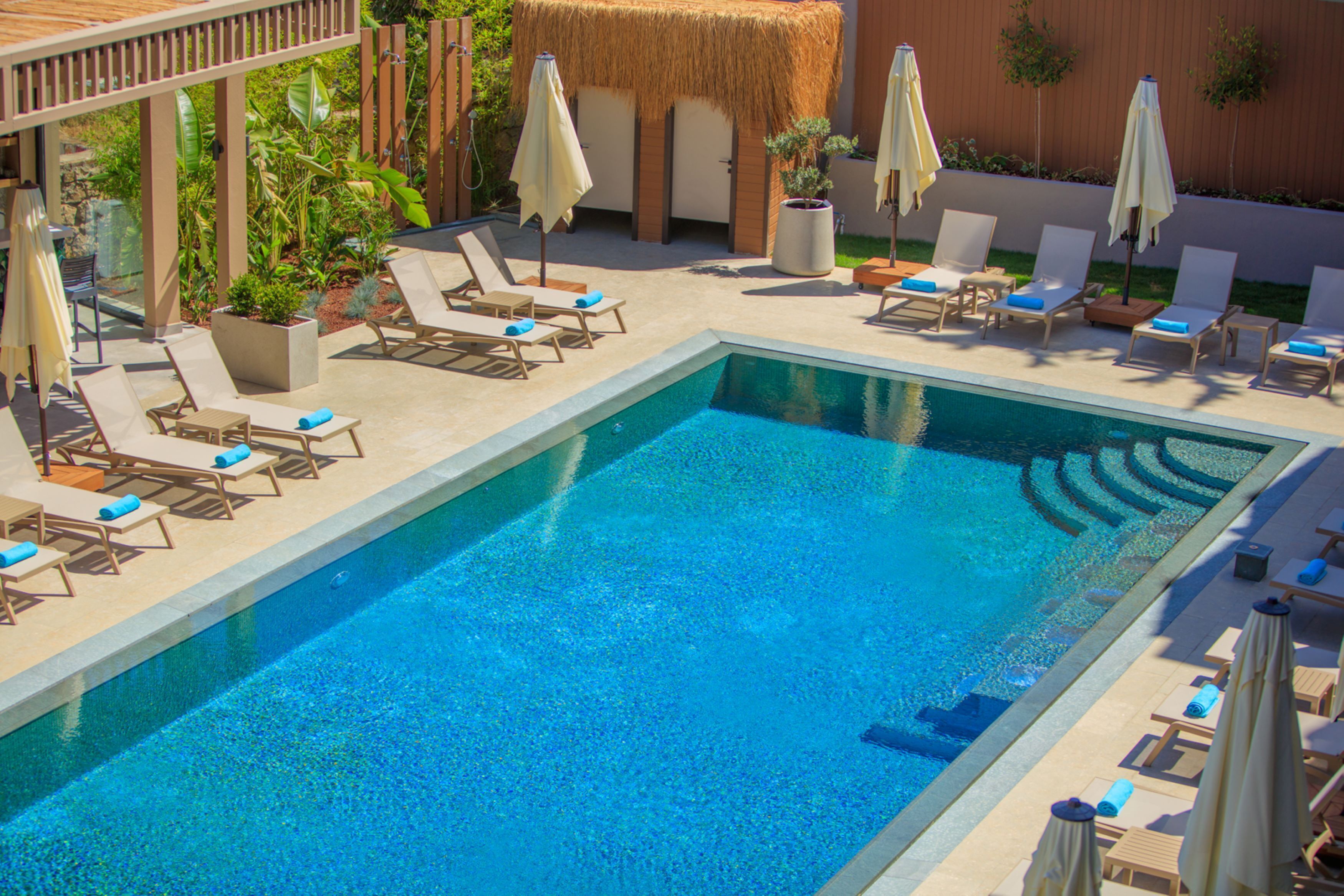 A swimming pool with lounge chairs and umbrellas, surrounded by plants and a wooden fence.
