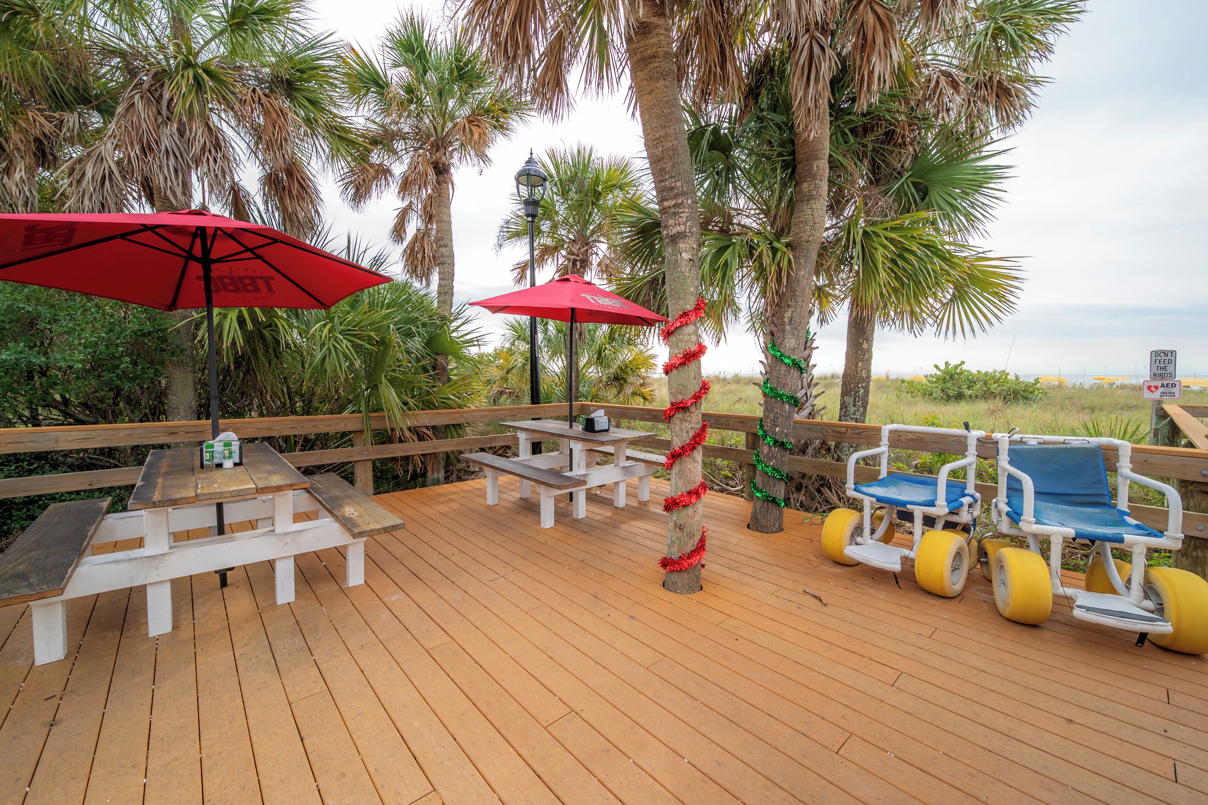 屋外ダイニングエリア