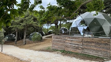 Experience serene seclusion in our eco-friendly resort, surrounded by lush woods and natural beauty.