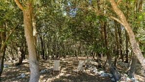 A forested area with two wooden chairs and a stone wall.